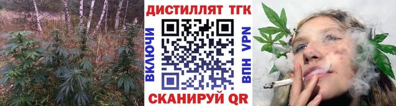 дарнет шоп  Кимовск  ТГК жижа 