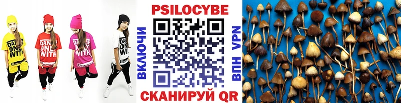 Галлюциногенные грибы ЛСД  Кимовск 